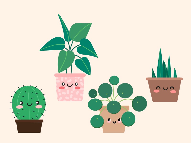 .Plants/